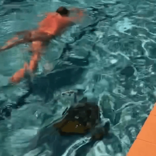 BlueSwimmerII Pool Cleaner Challenge Clean While Swimming
